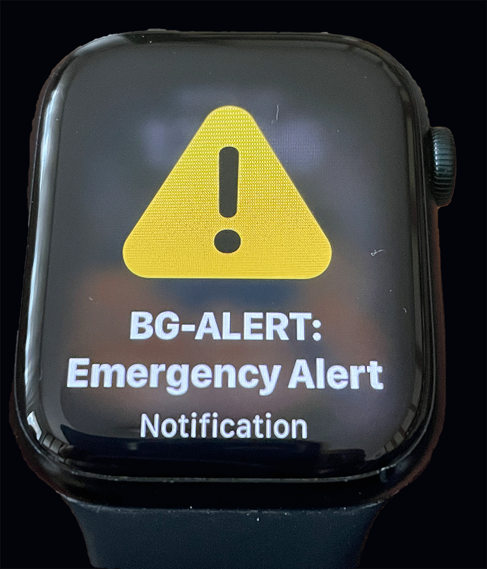 Short Code Bg-alert.bg text messaging