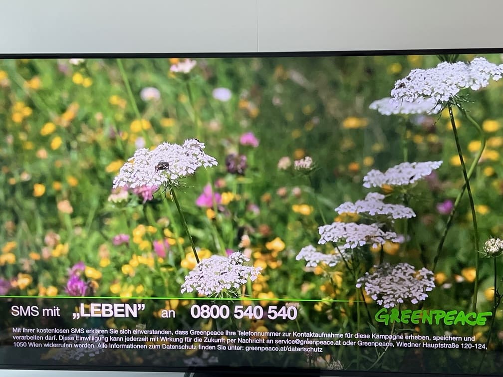 Long Code Greenpeace Austria text messaging